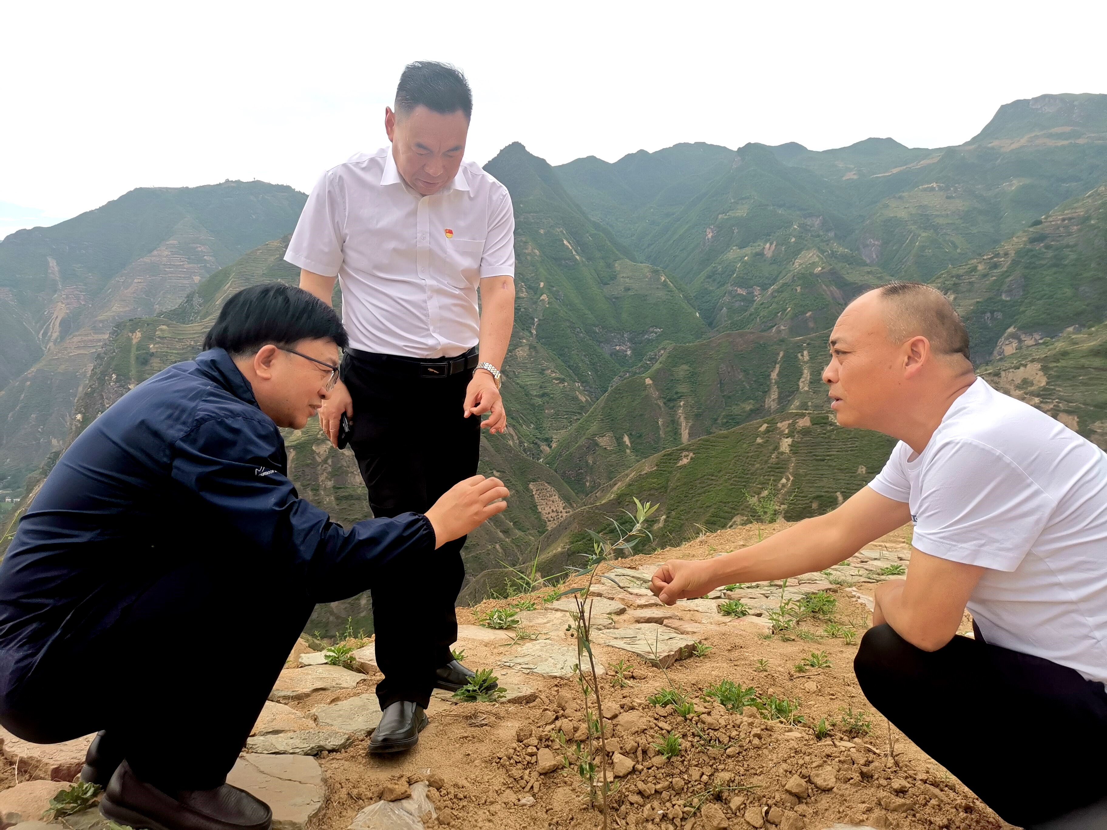 QQ圖片20230707202326.jpg